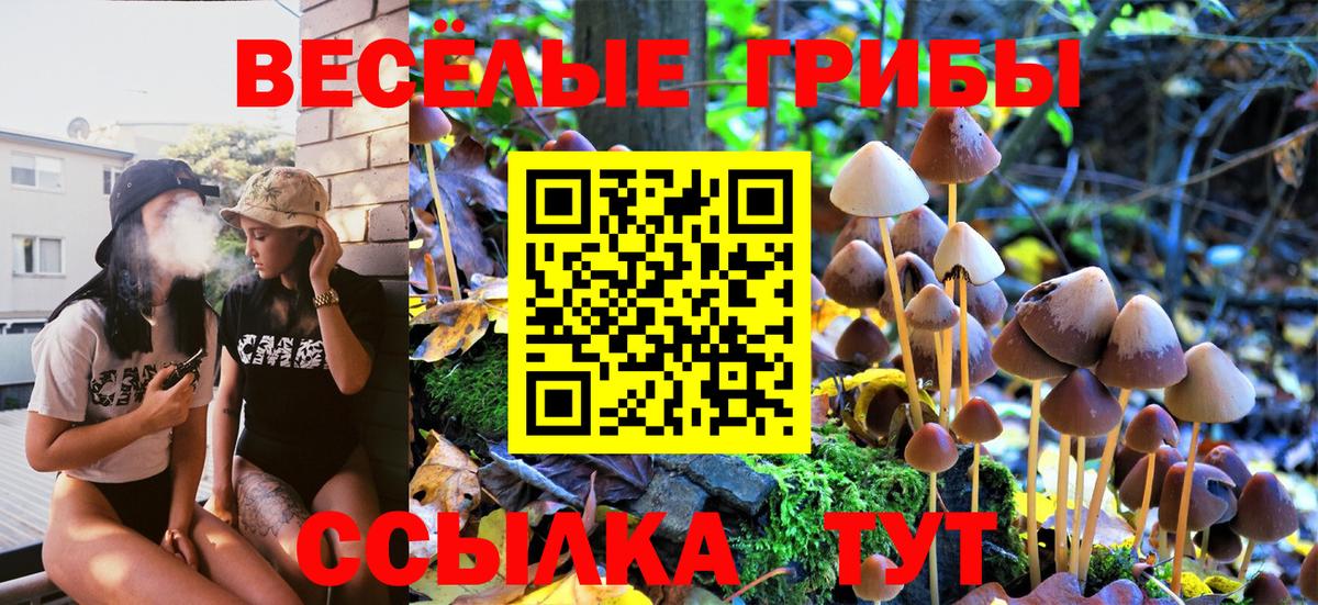 Павловский Посад  Псилоцибиновые грибы Cubensis  Вход с VPN 